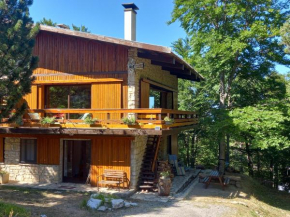 Chalet d'argençon